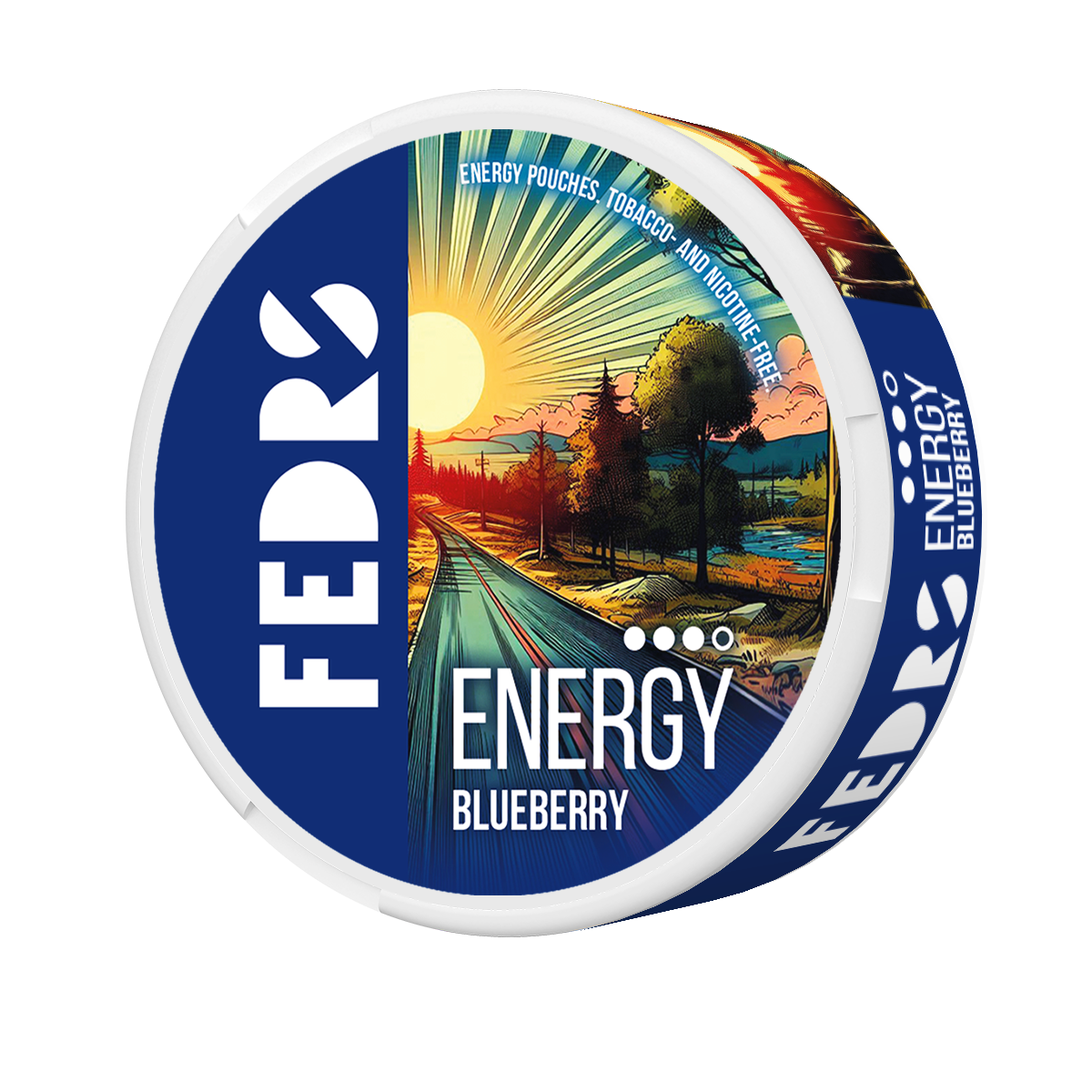 FEDRS Energy Blueberry VITAMIN