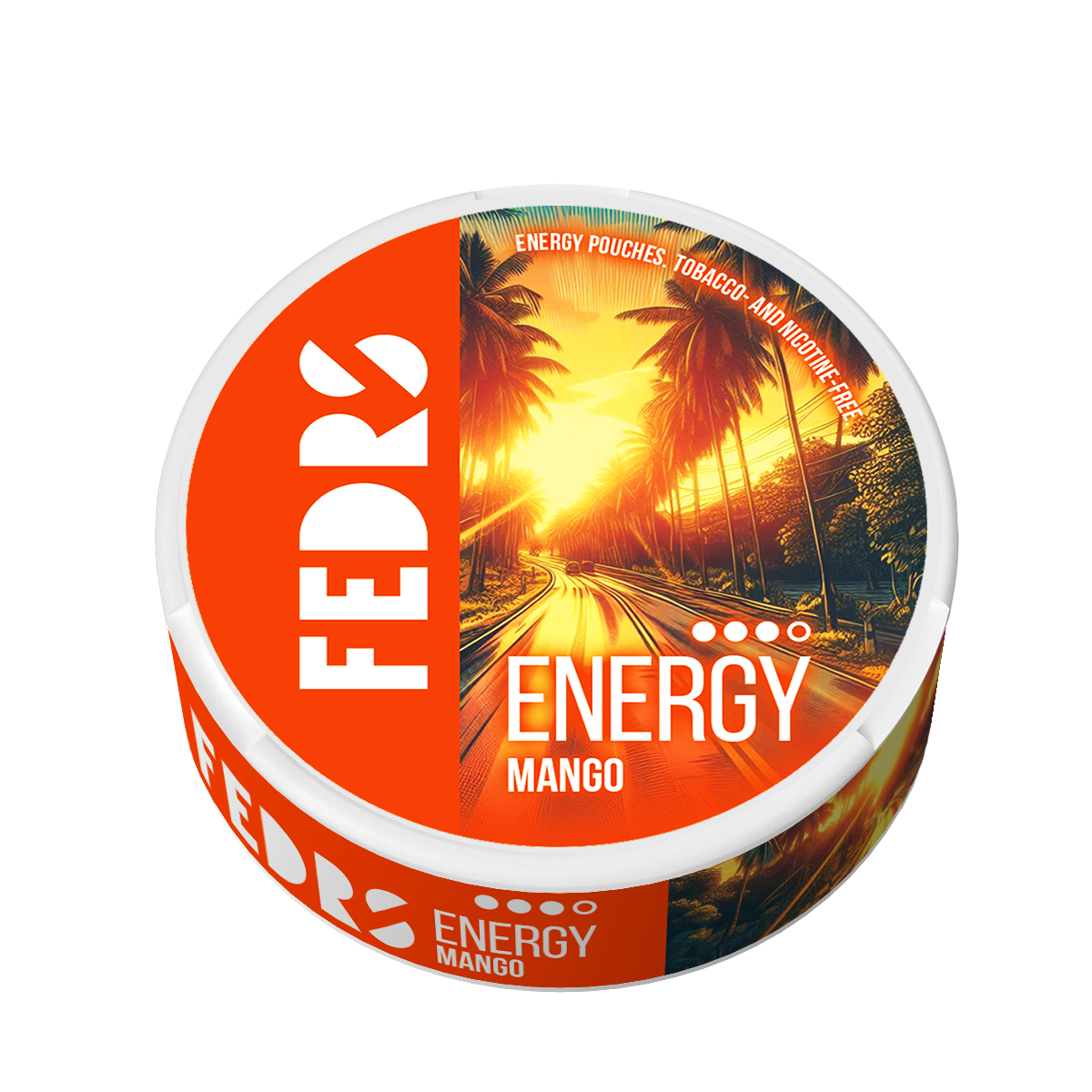 FEDRS Energy Mango VITAMIN
